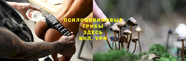ПСИЛОЦИБИНОВЫЕ ГРИБЫ Кулебаки