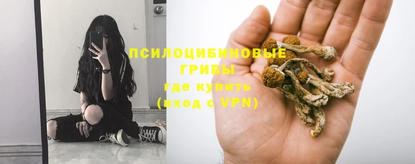 ПСИЛОЦИБИНОВЫЕ ГРИБЫ Кулебаки