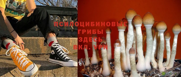 mdpv Кукмор