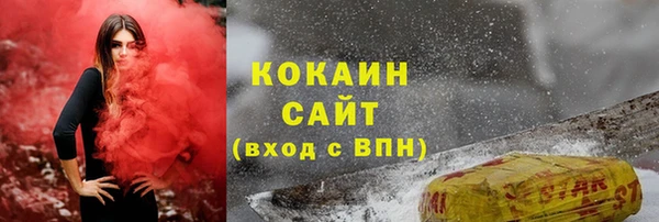 ПСИЛОЦИБИНОВЫЕ ГРИБЫ Кулебаки