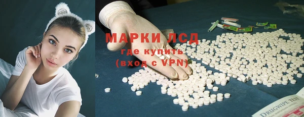 ПСИЛОЦИБИНОВЫЕ ГРИБЫ Кулебаки